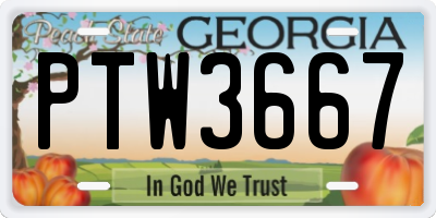 GA license plate PTW3667