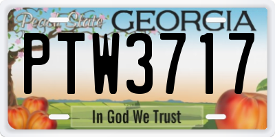 GA license plate PTW3717