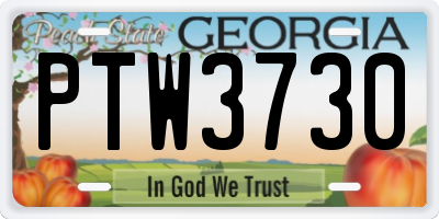 GA license plate PTW3730