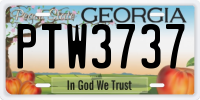 GA license plate PTW3737