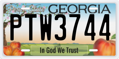 GA license plate PTW3744