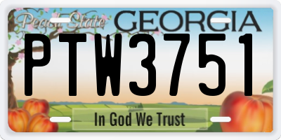 GA license plate PTW3751