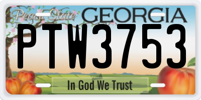 GA license plate PTW3753