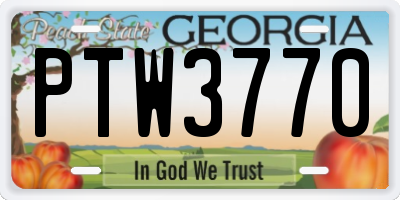 GA license plate PTW3770
