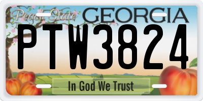 GA license plate PTW3824