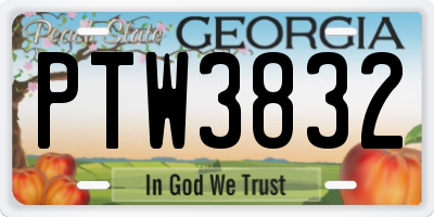 GA license plate PTW3832