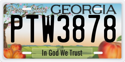 GA license plate PTW3878