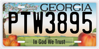 GA license plate PTW3895