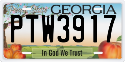 GA license plate PTW3917