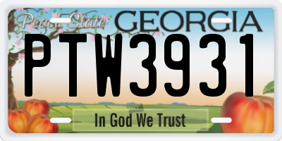 GA license plate PTW3931