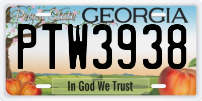 GA license plate PTW3938