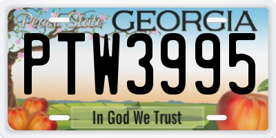 GA license plate PTW3995