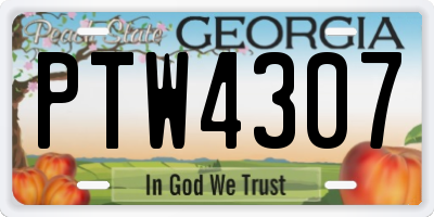 GA license plate PTW4307