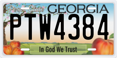 GA license plate PTW4384