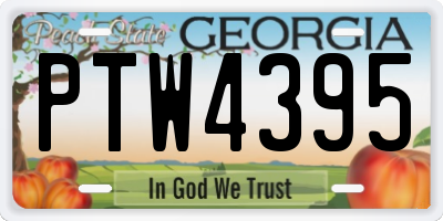 GA license plate PTW4395
