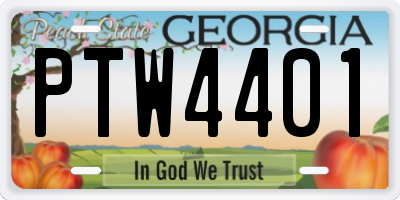 GA license plate PTW4401