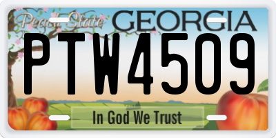 GA license plate PTW4509