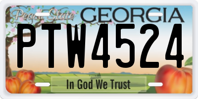 GA license plate PTW4524