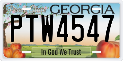 GA license plate PTW4547