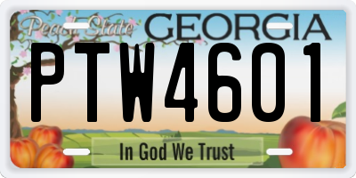 GA license plate PTW4601