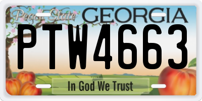 GA license plate PTW4663