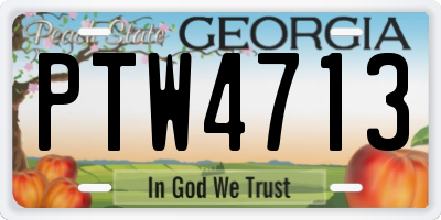 GA license plate PTW4713