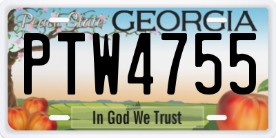 GA license plate PTW4755