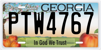 GA license plate PTW4767