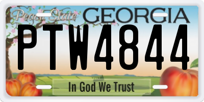 GA license plate PTW4844