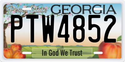 GA license plate PTW4852