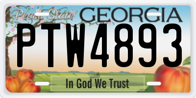 GA license plate PTW4893