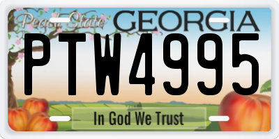 GA license plate PTW4995