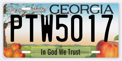 GA license plate PTW5017