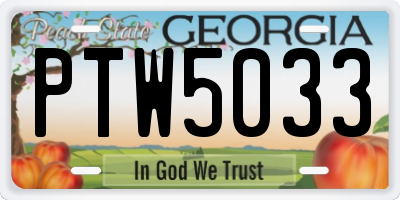 GA license plate PTW5033