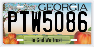 GA license plate PTW5086
