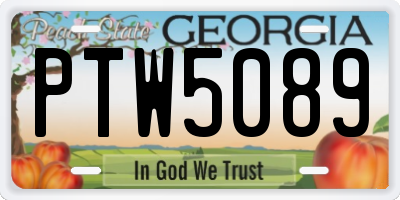 GA license plate PTW5089