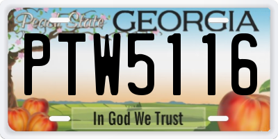 GA license plate PTW5116