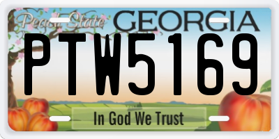 GA license plate PTW5169
