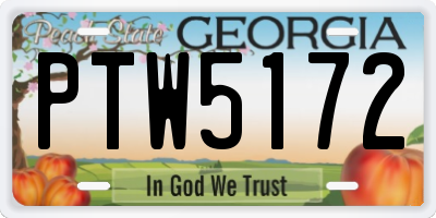 GA license plate PTW5172
