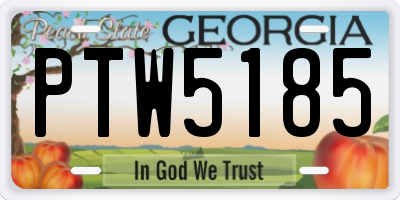 GA license plate PTW5185