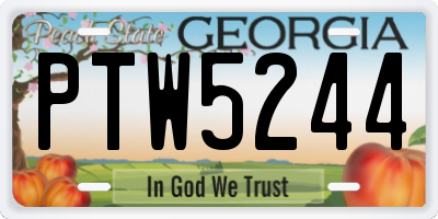 GA license plate PTW5244