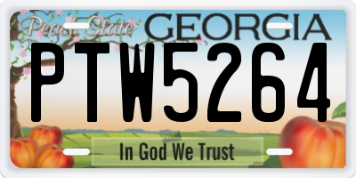 GA license plate PTW5264