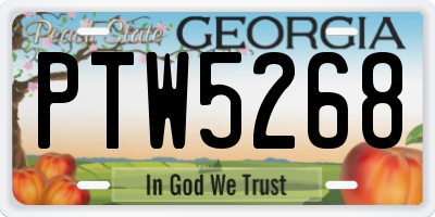 GA license plate PTW5268