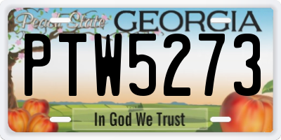 GA license plate PTW5273