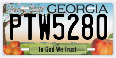 GA license plate PTW5280