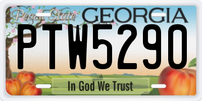 GA license plate PTW5290