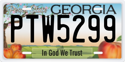 GA license plate PTW5299
