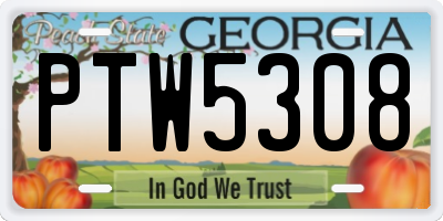 GA license plate PTW5308