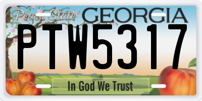 GA license plate PTW5317