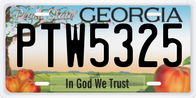 GA license plate PTW5325